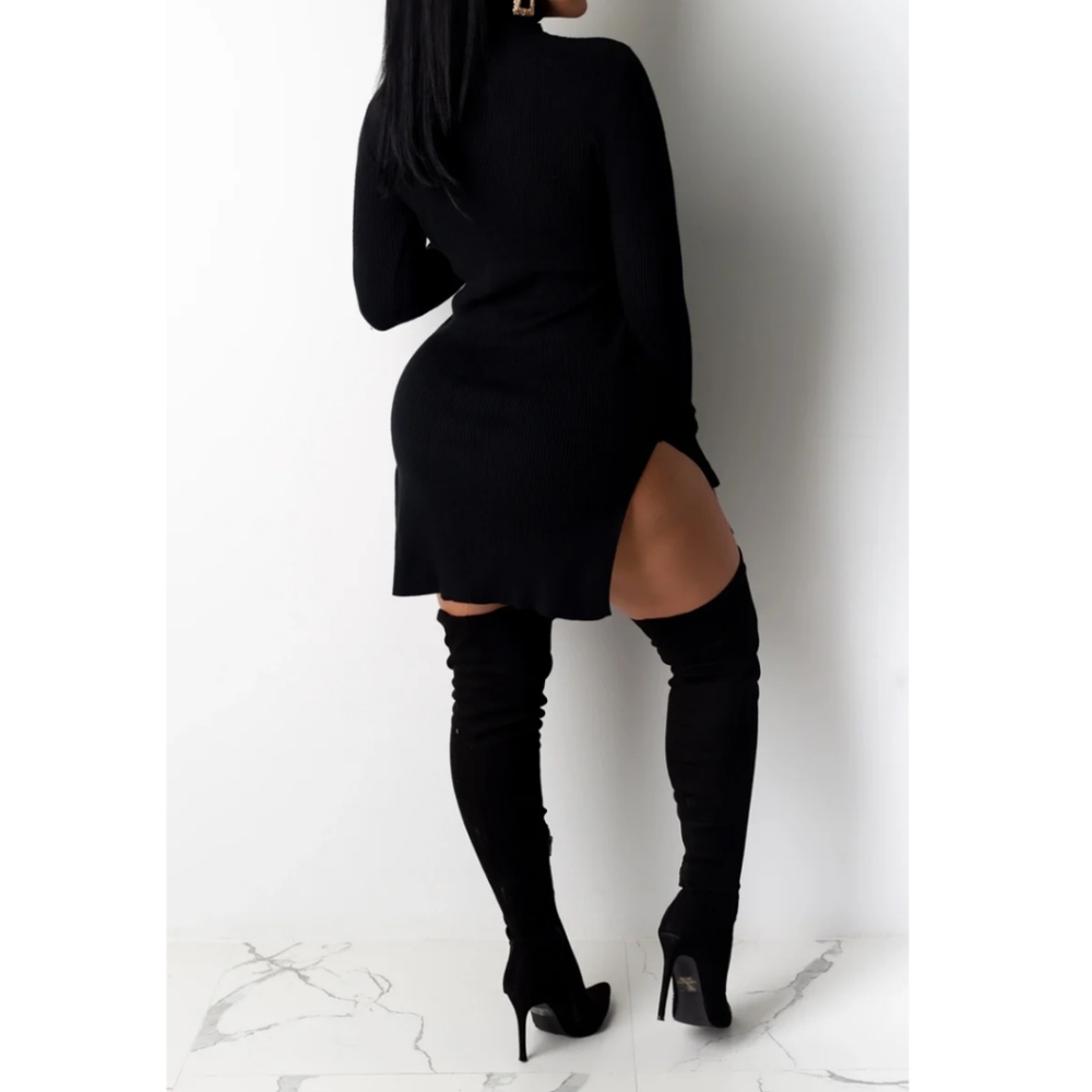 Palisades Mini Dress - Picture 2 of 3